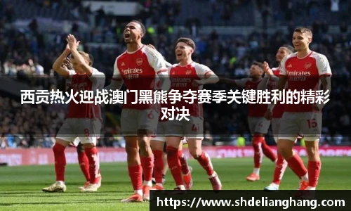 智博19有限公司